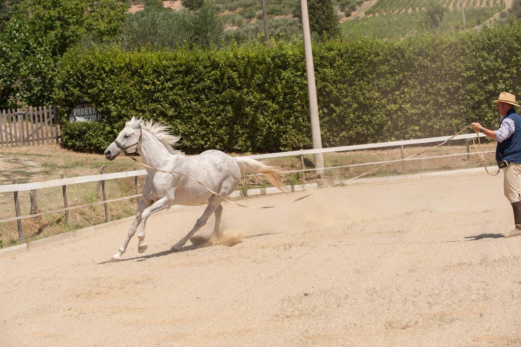Podere Il Poggiolo Pontassieve Eksteriør bilde