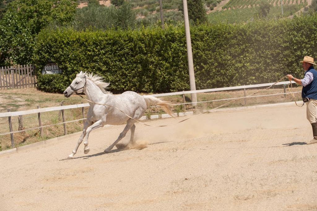 Podere Il Poggiolo Rufina Eksteriør bilde