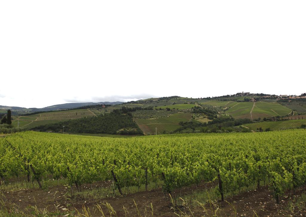 Podere Il Poggiolo Pontassieve Eksteriør bilde